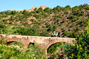 Ponte do Castelo