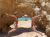 Autor: Mónica Ataíde | Local: Praia da Oura