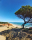 Autor: Cristiana Ferreira | Local: Praia da Falésia