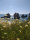 Autor: Maísa Del Frari | Local: Praia dos Arrifes