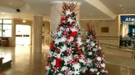 PAÇOS DO CONCELHO COM “NATAL BRILHANTE”