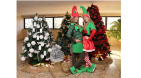 “FLORESTA DE NATAL” ATRAI  GRUPOS DE TODAS AS IDADES À CÂMARA 