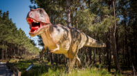 VENHA VISITAR OS DINOSSAUROS - UMA EXPERIÊNCIA ÚNICA PARA VER EM ALBUFEIRA