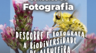 DESCOBRE E FOTOGRAFA A BIODIVERSIDADE DE ALBUFEIRA CONCURSO DE FOTOGRAFIA