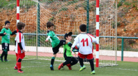 CAMPEONATO DOS GOLFINHOS ARRANCOU NO DOMINGO 