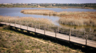 ALBUFEIRA ASSINALA DIA INTERNACIONAL DA BIODIVERSIDADE COM UM PASSEIO PELA LAGOA DOS SALGADOS