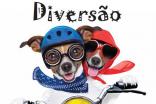 BIBLIOTECA MUNICIPAL DE ALBUFEIRA APRESENTA “ALMANAQUE DA DIVERSÃO”    