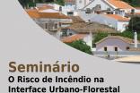 SEMINÁRIO SOBRE RISCOS DE INCÊNDIO  NA INTERFACE URBANO-FLORESTAL