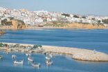 ALBUFEIRA RECEBE XII CAMPEONATO DO MUNDO DE PESCA EM BARCO FUNDEADO
