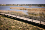 ALBUFEIRA ASSINALA DIA INTERNACIONAL DA BIODIVERSIDADE COM UM PASSEIO PELA LAGOA DOS SALGADOS