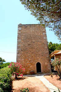 Torre da Medronheira